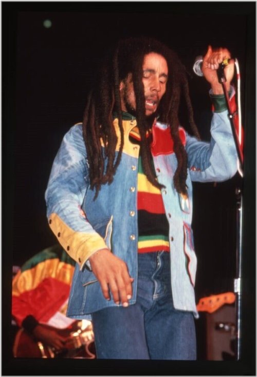 Roots Rhythms Iconic Imagery Collection