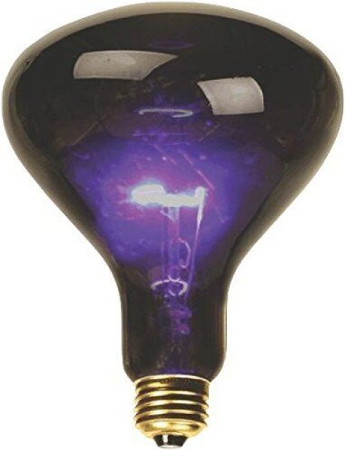 Midnight Glow Bulb