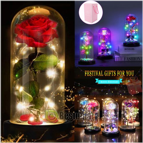 Everlasting Bloom Set