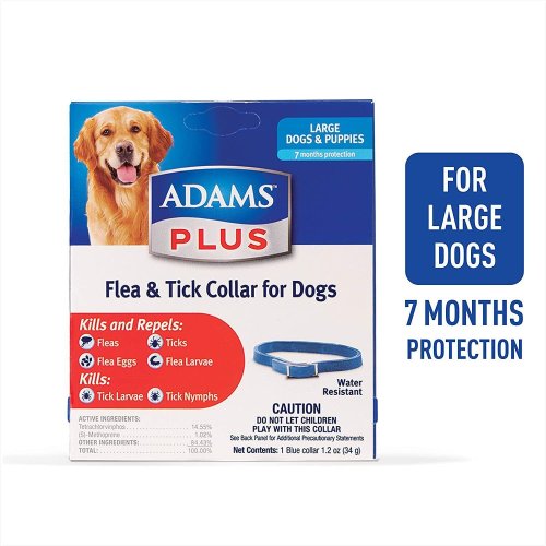 Extended Protection Collar for Large Dogs and Puppies