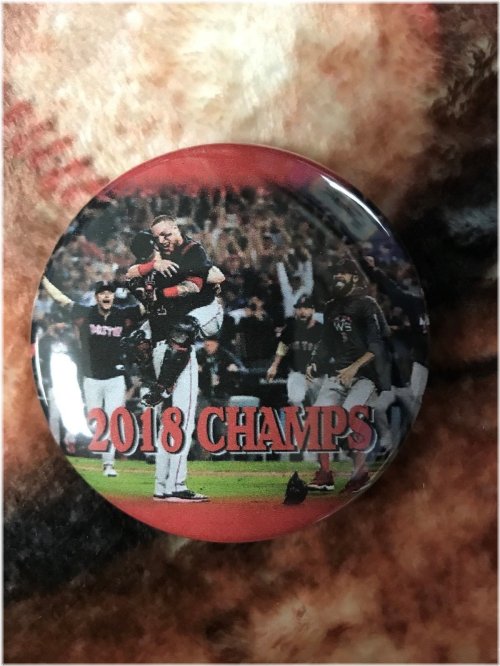 Red Sox World Series Champions Magnet