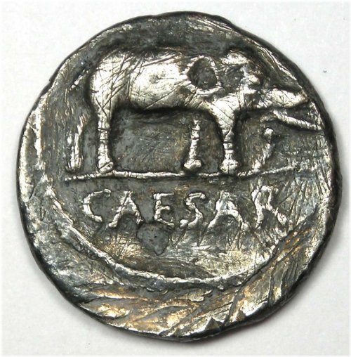 Julius Caesar Silver Elephant Denarius - 49 BC (VF Details)