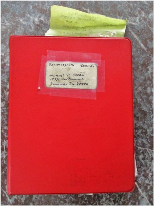 Palmer Lineage Chronicles