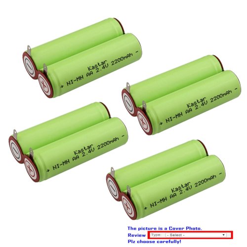 PowerPlus 2.4V 2200mAh Battery Pack