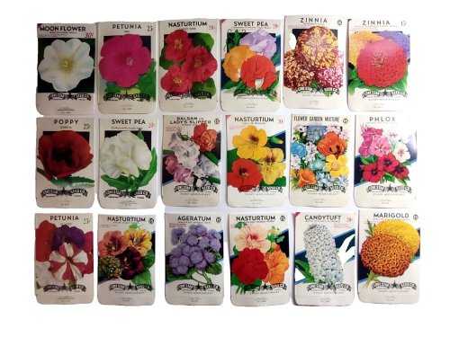 Blooms of the 50s Seed Pack Collection