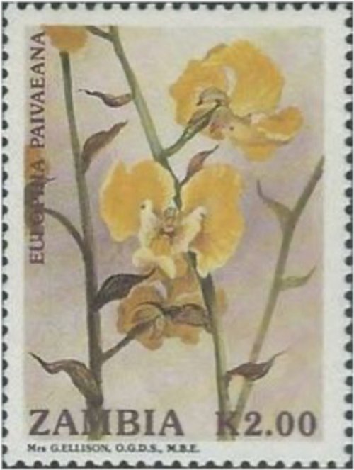 Zambian Orchid Delight Stamp