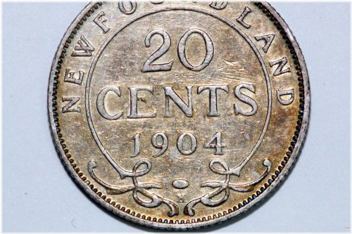 Newfoundland's Rare 20 Cents Coin from 1904