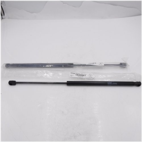 Gas Lift Supports - Pair of 21" Springs