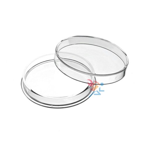 Elemental Coin Capsules