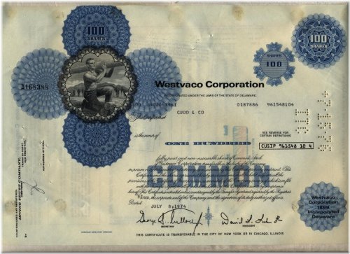 Blue Ridge Paper Company Stock Certificate