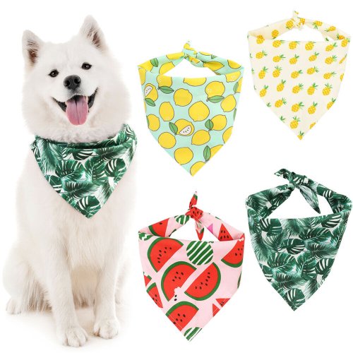 Pawsome Pet Bandana Set
