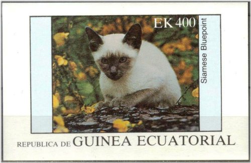 Equatorial Guinea Bluepoint Cat Stamp Collection