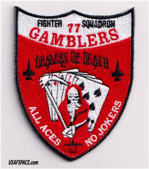 Shaw AFB F-16 Fighter Squadron Patch