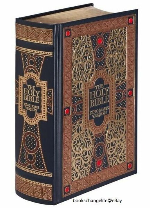 Divine Illumination: A Deluxe Illustrated King James Bible by Gustave Dore