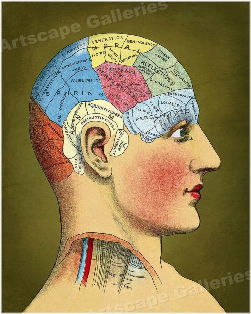 Vintage Phrenology Chart Print - 1914 Edition