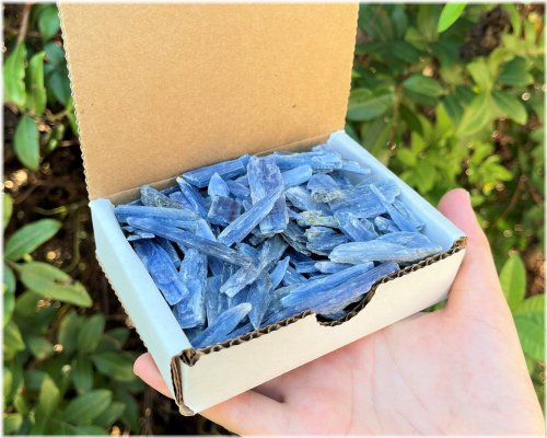 Kyanite Blade Collection - Natural Blue Crystals