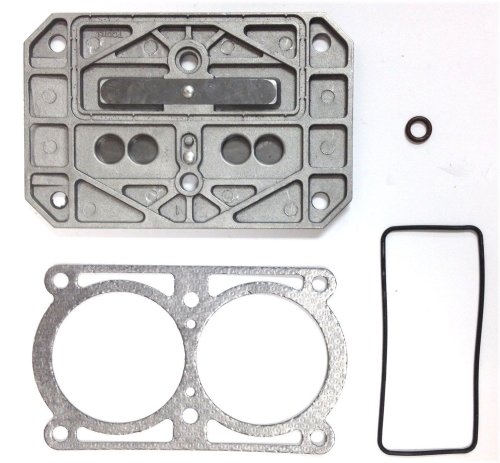 Speedaire Valve Plate Assembly