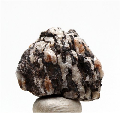 Prehistoric Relic Collection