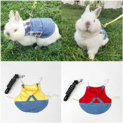 Pet Denim Harness and Leash