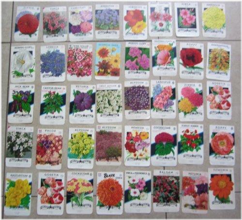 Vintage Garden Memories Collection