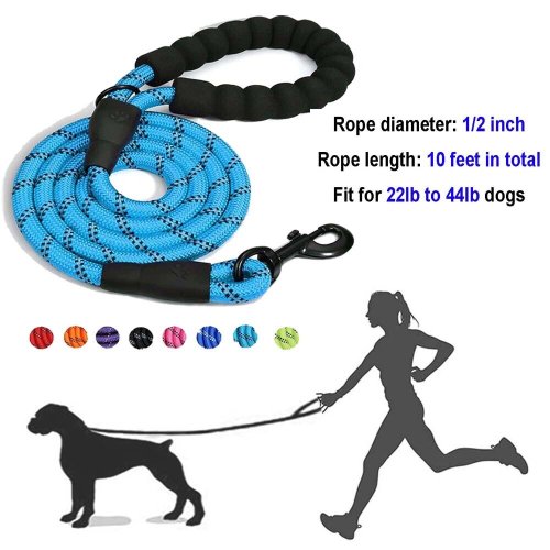 Reflective Nylon Dog Leash with Comfortable Handle