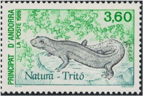 Pyrenean Brook Salamander Stamp
