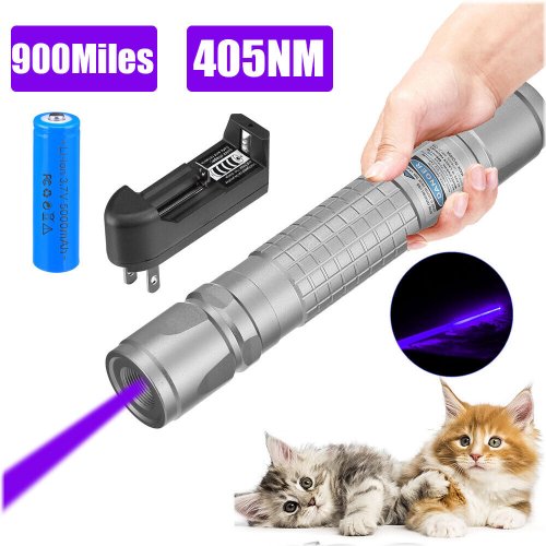 Purple Beam Laser Pen