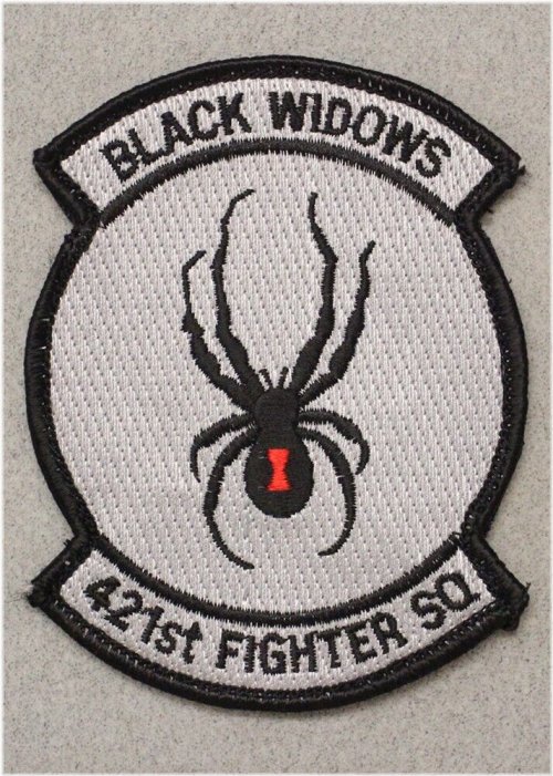 Desert Storm 421st Fighter Squadron Patch