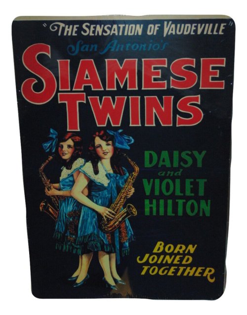 Twins Holiday Wall Art