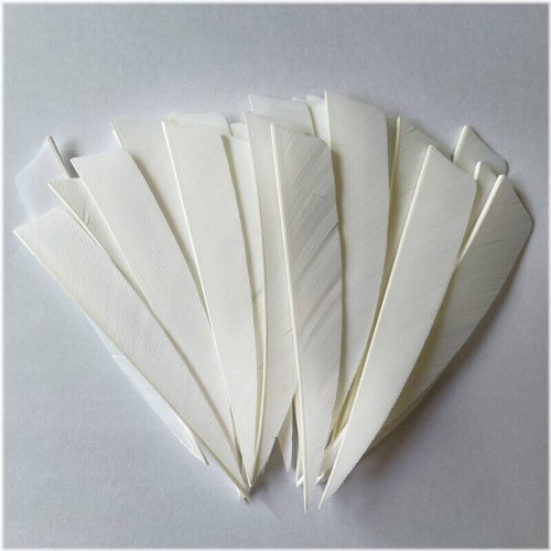 White Natural Turkey Shield Feathers