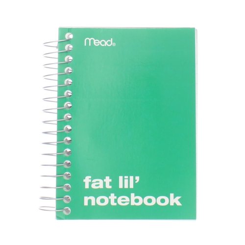 Lil Wirebound Notebook, College Ruled, 2 Pack, 200 Sheets