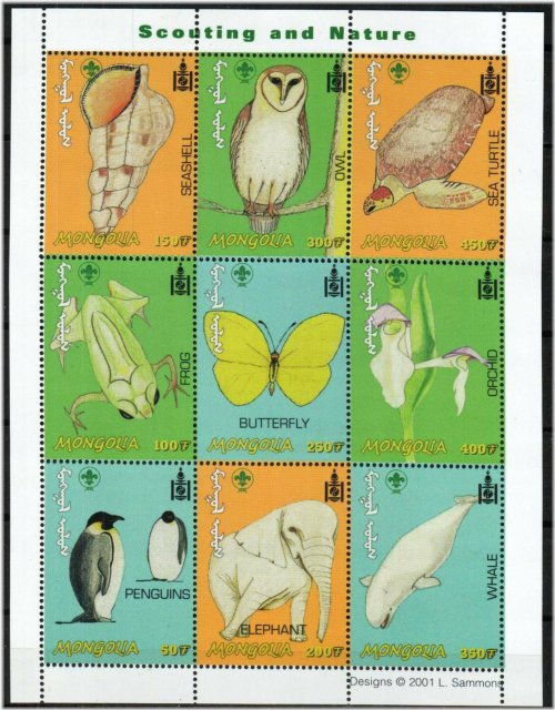 Mongolian Wildlife and Scout Collection