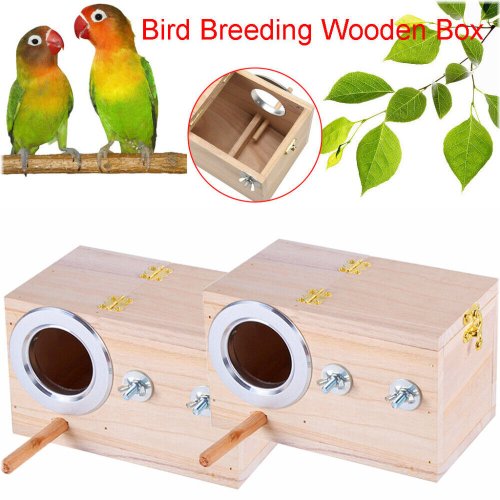 Avian Abode Duo Nest Box