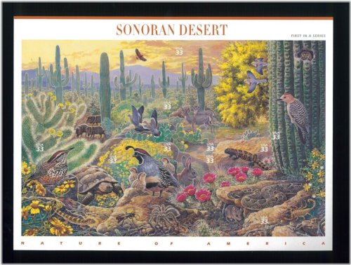 Sonoran Desert Stamp Collection