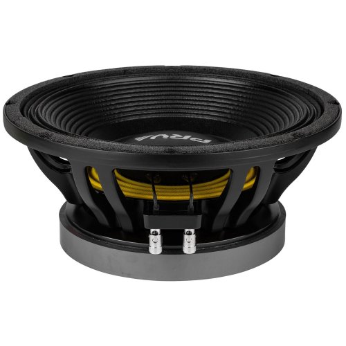 DeepSonic 12-inch Pro Woofer