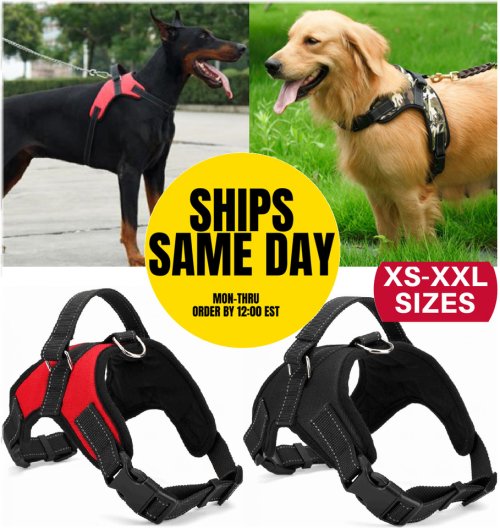 Reflective Control Vest for Dogs - Adjustable No Pull Pet Harness in Sizes XS-XXL