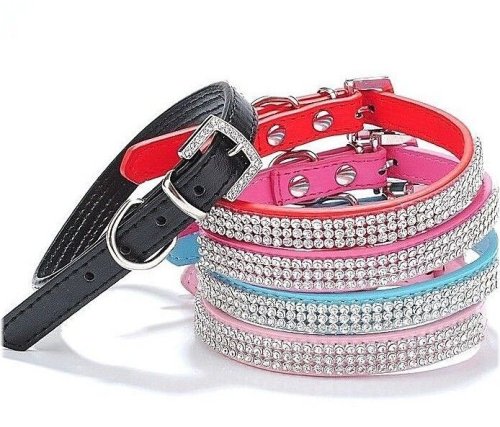 Dazzling Paws Leather Collar with Rhinestones