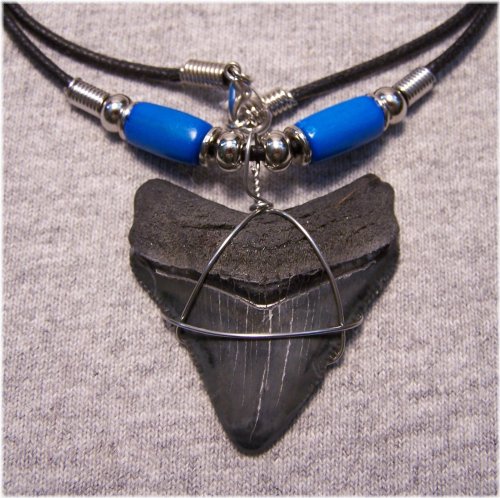 Ancient Megalodon Tooth Pendant