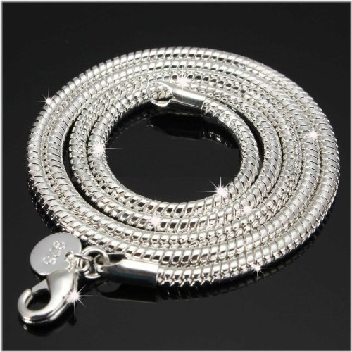 Silver Serpentine Necklace