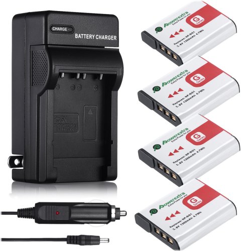 Sony Cyber-shot Battery Pack & Charger Kit