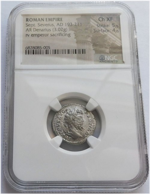 Severus Denarius 193-211 AD, NGC Certified