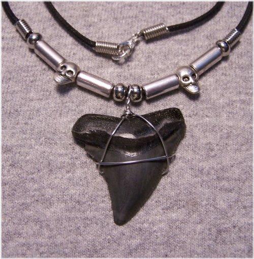 Ancient Megalodon Tooth Pendant
