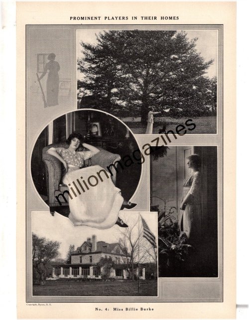 Billie Burke's Home Chronicles