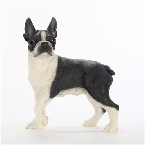 Hand-Painted Boston Terrier Statue