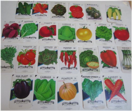 San Antonio Vintage Seed Packet Collection