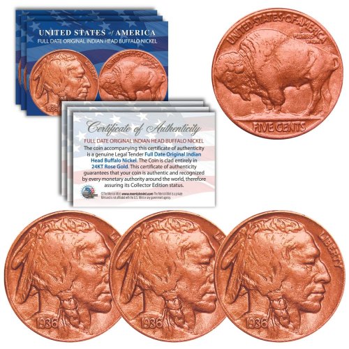 Vintage American Bison Coins