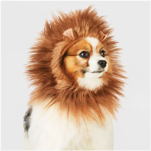 Lion Mane Pet Costume