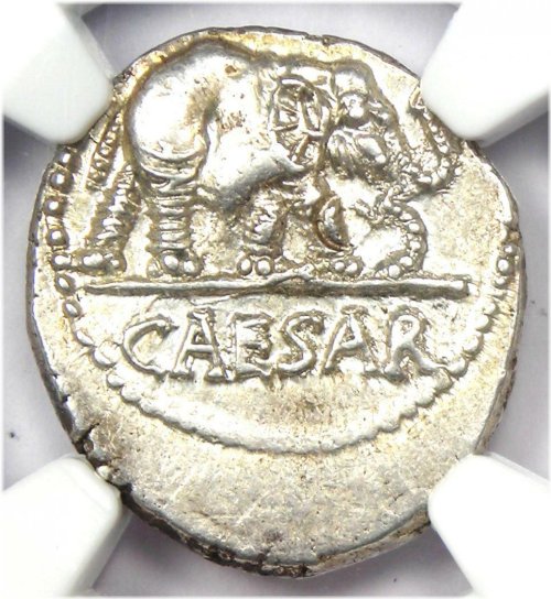 Silver Elephant Denarius of Julius Caesar (49 BC) - NGC Choice AU Certified