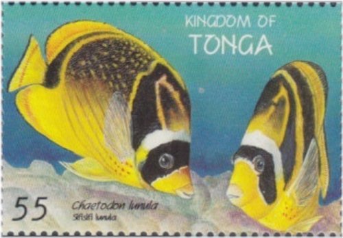 Tongan Reef Treasures Stamp