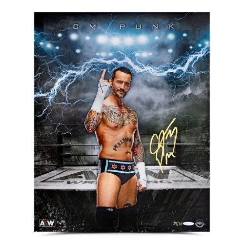 Ascension Autographed CM Punk 16x20 Photo Limited Edition